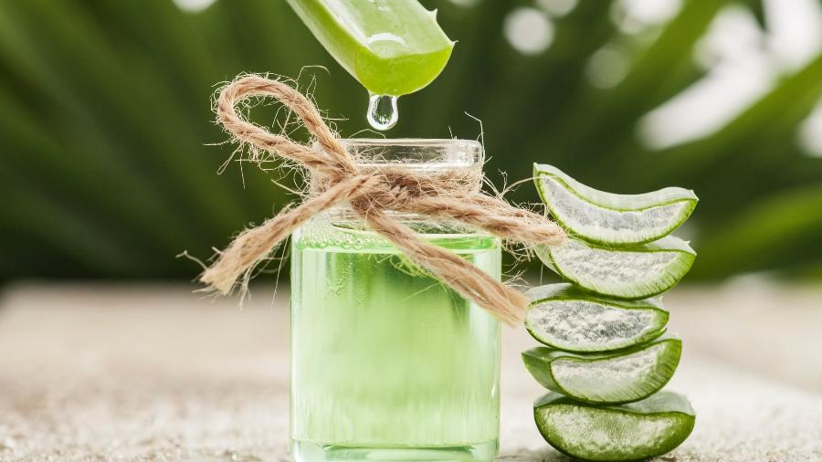 Benefícios da aloe vera para o organismo, suco da babosa pingando em um recipiente de vidro.