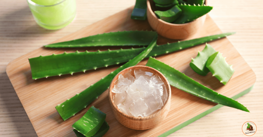 aloe vera ao lado da gordura de coco.