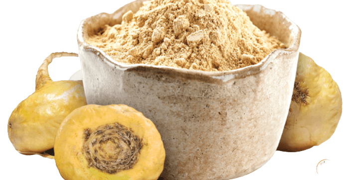 Maca Peruana: Um Super Alimento Capaz de Mudar sua Vida Receitas